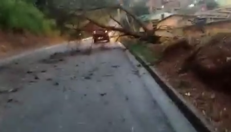 A92050FA-7B54-4A31-8CA9-3CBF318CC14F