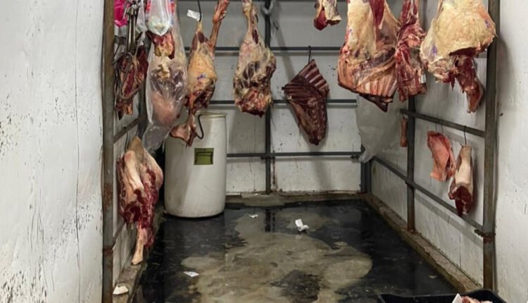 89A3AE13-97F6-48E9-ADDB-F8B413C0393F