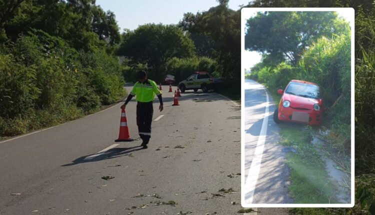 FBC82B0C-47BA-4569-909D-F66FF3D72BE9